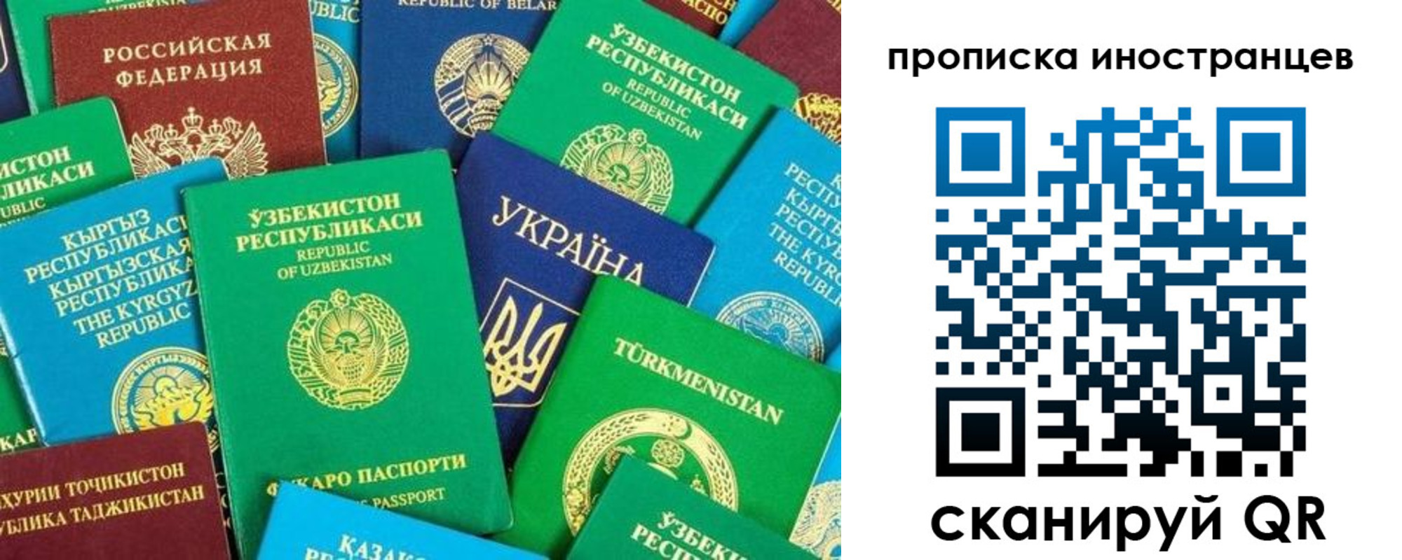 прописка гарантия в Жуковском